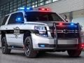 Gioco Scivolo di auto della polizia  in linea