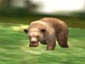 Gioco Safari Animal Hunter in linea