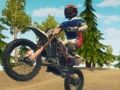Gioco Sterl bici enduro corse in linea