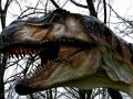 Gioco Puzzle dinosauro T-Rex  in linea