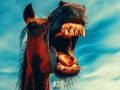 Gioco Animali sorridenti divertenti  in linea