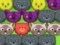 Gioco Gattini pop-pop  in linea