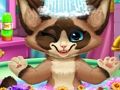 Gioco Bagno per gatti  in linea