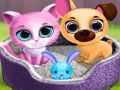 Gioco Simpatici amici animali  in linea