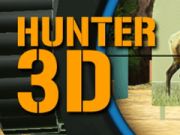Gioco Hunter 3D in linea