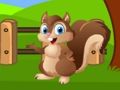Gioco Fuga dalla fattoria degli scoiattoli  in linea