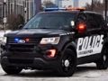 Gioco Puzzle con l'auto della polizia  in linea