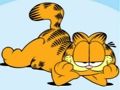 Gioco Collezione di puzzle Garfield  in linea