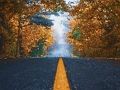 Gioco Puzzle con alberi autunnali  in linea