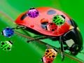 Gioco Coccinella Match3  in linea