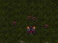 Gioco Starcraft 3  in linea