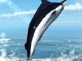 Gioco Pesca in mare azzurro  in linea
