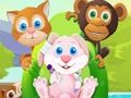 Gioco Pet House Piccoli amici  in linea