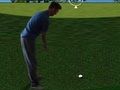 Gioco Flash Golf 3D  in linea
