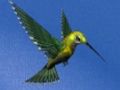 Gioco Fuga dalla casa del colibrì  in linea