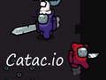 Gioco Catac. io  in linea
