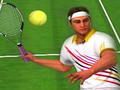 Gioco Campioni di tennis 2020  in linea