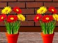 Gioco Fuga dalla casa dei fiori  in linea