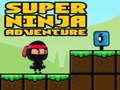 Gioco Ninja Super Avventura  in linea