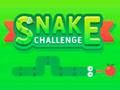 Gioco Sfida del serpente  in linea