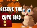 Gioco Salva l'uccellino carino  in linea