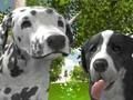 Gioco Simulatore di cani 3d  in linea