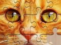 Gioco Puzzle illimitati  in linea