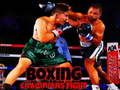Gioco Lotta tra campioni di boxe  in linea