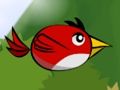 Gioco Falla l'uccello in linea