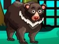 Gioco Fuga dell'orso  in linea