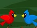 Gioco Fuga di Toco Tucano  in linea