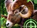 Gioco Cacciatore di capre pazze 2020  in linea