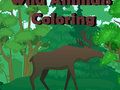 Gioco Animali selvatici da colorare  in linea