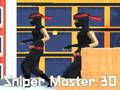 Gioco Cecchino maestro 3D  in linea