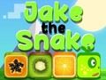 Gioco Jake il serpente  in linea
