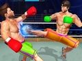 Gioco Bodybuilder Ring Fighting Club Wrestling in linea