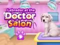 Gioco Labrador al salone del dottore  in linea