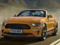 Gioco Scivolo speciale Ford Mustang California  in linea