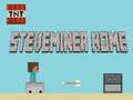 Gioco Casa Steveminer  in linea