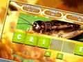 Gioco Parola strapazzate per bambini  in linea