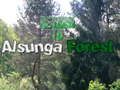 Gioco Ritorno alla foresta di Alsunga  in linea