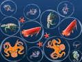 Gioco Unione di pesci oceanici  in linea