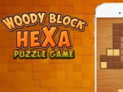 Gioco Puzzle esagonale a blocchi di legno  in linea