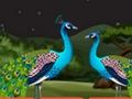 Gioco Fuga di coppia di pappagallo  in linea
