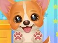 Gioco Adotta il tuo cucciolo di animale domestico  in linea