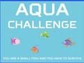 Gioco Sfida dell'acqua  in linea