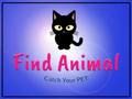 Gioco Trova animale  in linea