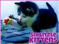 Gioco Sei piccoli gattini  in linea