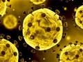 Gioco Diapositiva del coronavirus  in linea