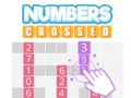 Gioco Numeri incrociati  in linea